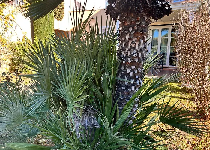 Apartment Le Dramont Saint-Raphael (Var)